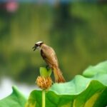 亿万28下载的用户评价,真实反馈分享 1p2psjkc