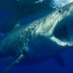 亿万28下载的优势与特点,值得一试 64nvkr95