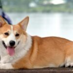 旺财28的优势与劣势,投资者需了解 6no7t878