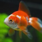 亿万28app的技术支持:如何保障平台稳定性 8exd589