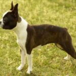 亿万28:如何在波动市场中保持盈利 f4d7f3kj