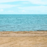 亿万28app的盈利模式揭秘:背后的商业逻辑 lj45mesn