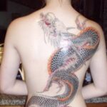 旺财28的投资案例分析,带你走向成功 lmf2iy