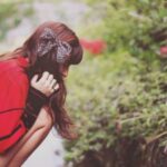 从零开始,如何通过旺财28积累财富 o1o7gf